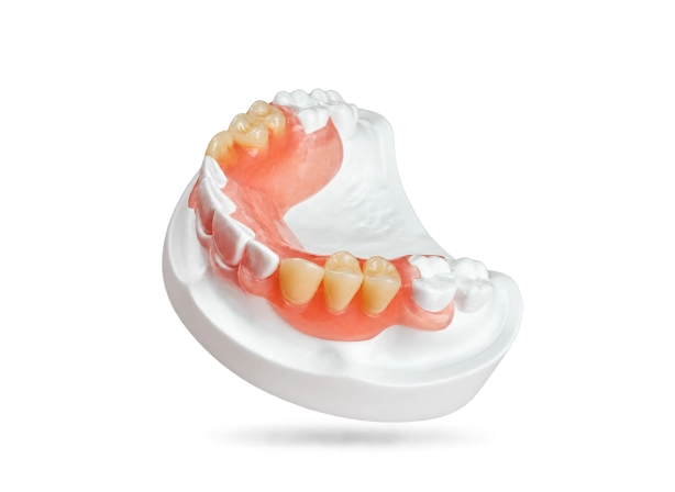 Prothèse Valplast®