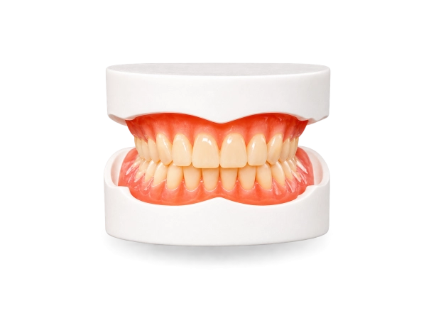 Appareil complet en résine 14 dents
